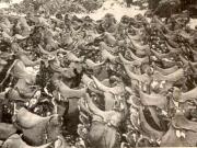 Foametea îngrozitoare a făcut ca o întreagă divizie de cavalerie românească să rămână fără cai: nu au mai rămas decât şeile -1942-1943. (1942-1943)