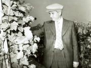 Vizita de lucru a preşedintelui Nicolae Ceauşescu, a altor conducători de partid şi de stat în judeţul Vrancea. La I.A.S. Odobeşti.(6.IX.1978)