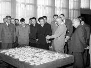 Gheorghiu Dej Diverse Activitati, F.A.