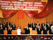 Activitati in tara 1986