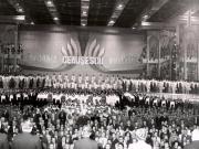 Activitati in tara 1986