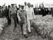 Activitati in tara 1986