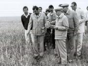 Activitati in tara 1986