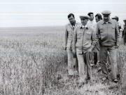 Activitati in tara 1986