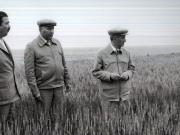 Activitati in tara 1986