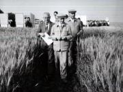 Activitati in tara 1986