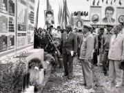 Activitati in tara 1986