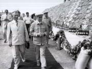 Activitati in tara 1986