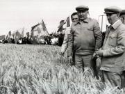 Activitati in tara 1986