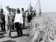 Activitati in tara 1986