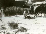 În anul 1930 condiţiile de muncă şi de viaţă ale ţăranilor din România erau asemănătoare cu cele din sec.XVIII- şi XIX.(1930)