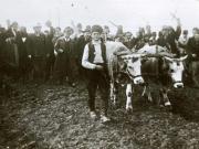 Aspect de la reforma agrară, februarie 1945.(martie 1945)