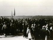 Împărţirea moşiei ”Paul Lazăr” de către comitetele ţărăneşti.(martie 1945)