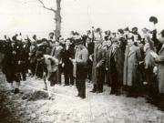 Împărţirea pământurilor moşiereşti în Oltenia, martie-aprilie 1945.(martie-aprilie 1945)