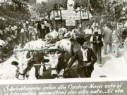 Fotografia reprezintă un aspect de la Gospodăria Agricolă Colectivă din Costa-Nova.(1949)