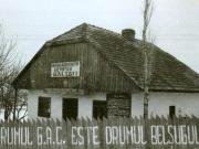 Cooperativa agricolă de Producţie ”Ilie Pintilie” din comuna Bălţaţi.(1955-1959)