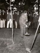 Vizita conducătorilor de partid şi de stat în regiunea Hunedoara (Ţebea – gorunul lui Avram Iancu) . (7-8 X 1966)