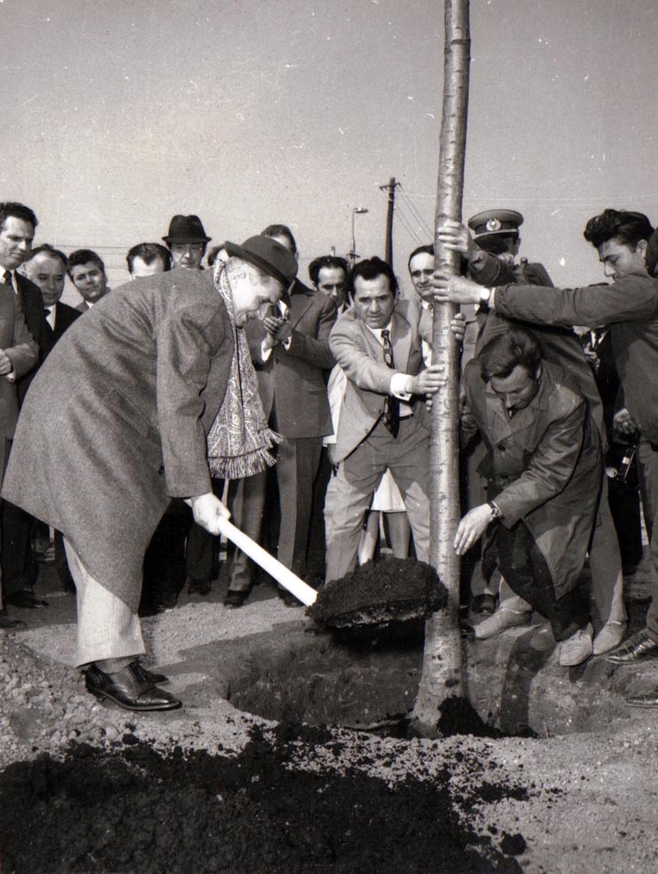 Vizita lui Nicolae Ceauşescu, secretar general al P.C.R., pe şantierul tineretului din Dealul Piscului – Bucureşti.(22 martie 1974).