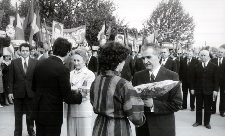 Activitati in tara 1986