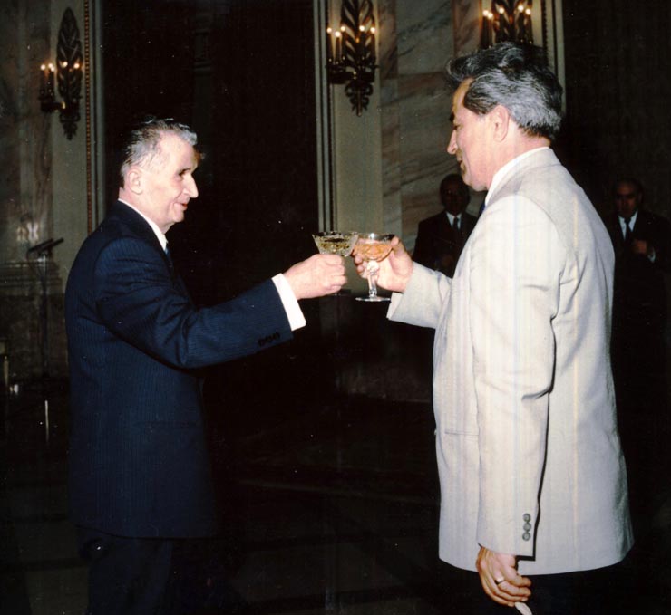 Activitati in tara 1986