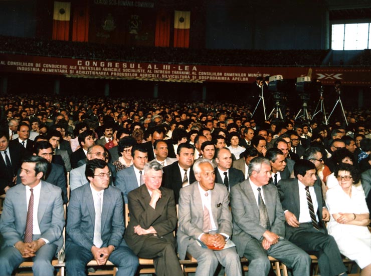 Activitati in tara 1986