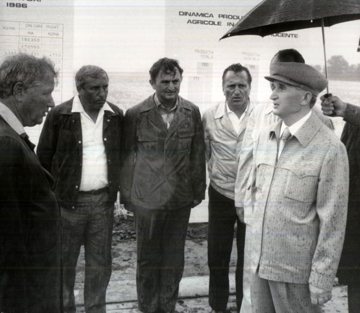 Activitati in tara 1986