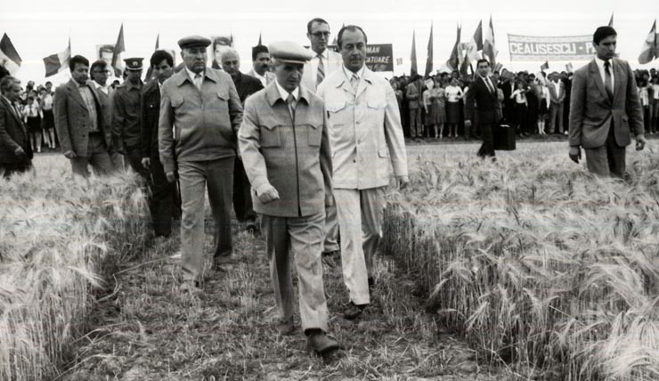 Activitati in tara 1986