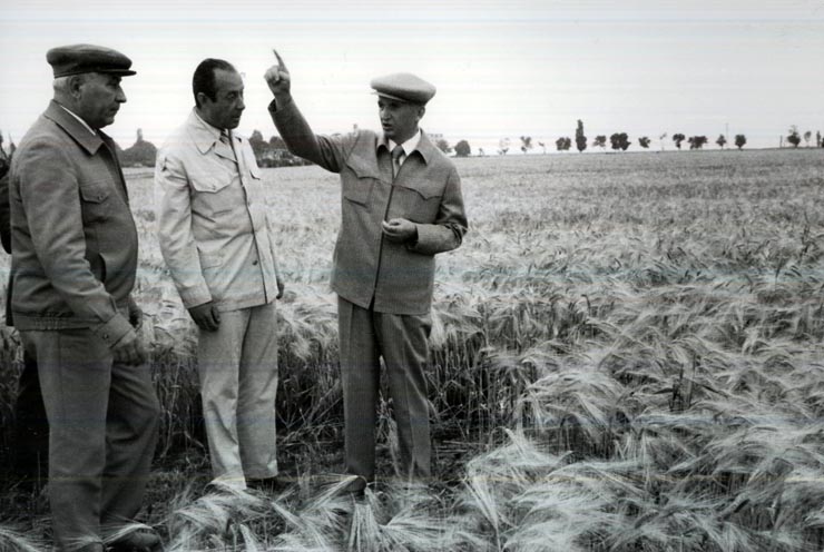 Activitati in tara 1986