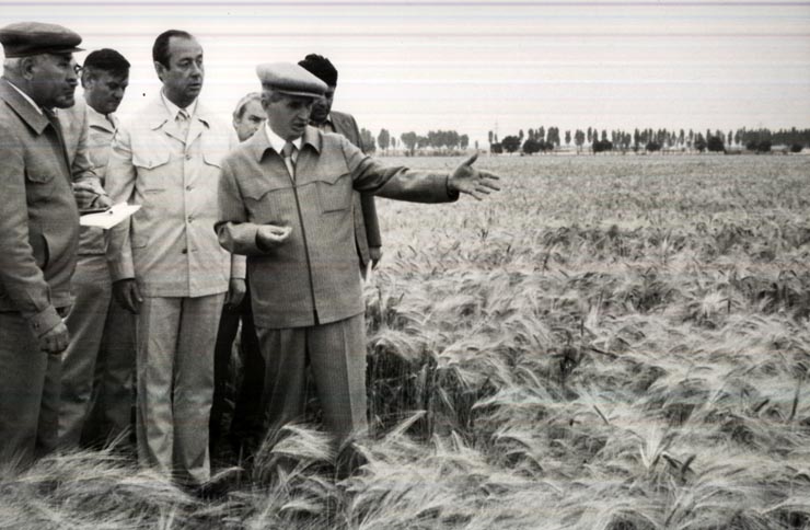 Activitati in tara 1986