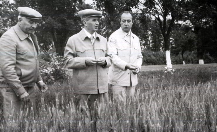 Activitati in tara 1986