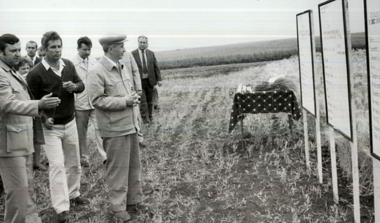 Activitati in tara 1986