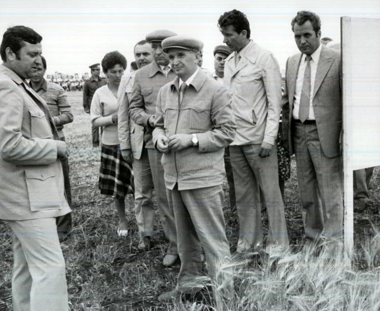 Activitati in tara 1986
