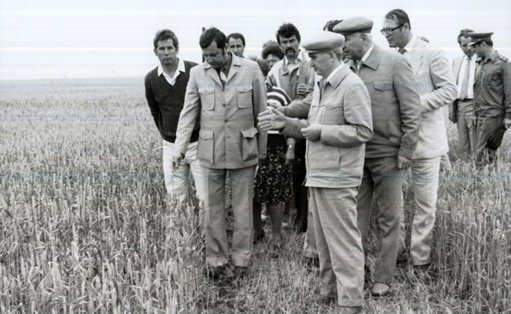 Activitati in tara 1986