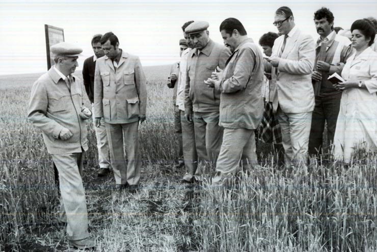 Activitati in tara 1986