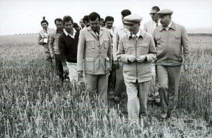 Activitati in tara 1986