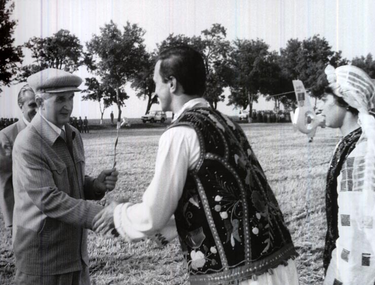 Activitati in tara 1986