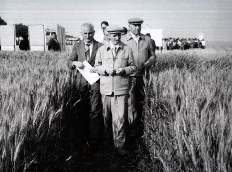 Activitati in tara 1986