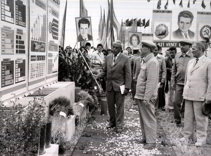 Activitati in tara 1986