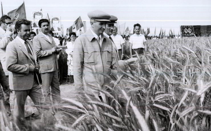 Activitati in tara 1986