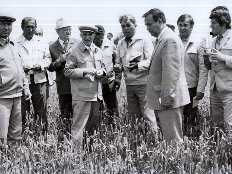 Activitati in tara 1986