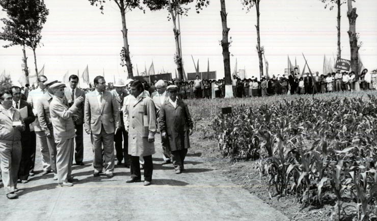 Activitati in tara 1986