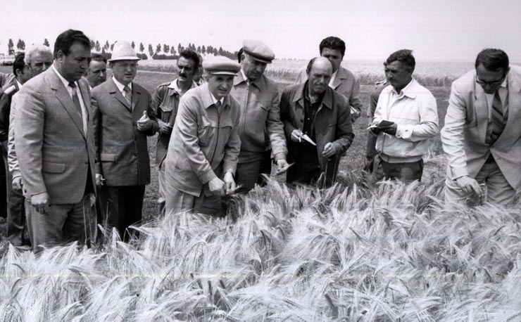 Activitati in tara 1986