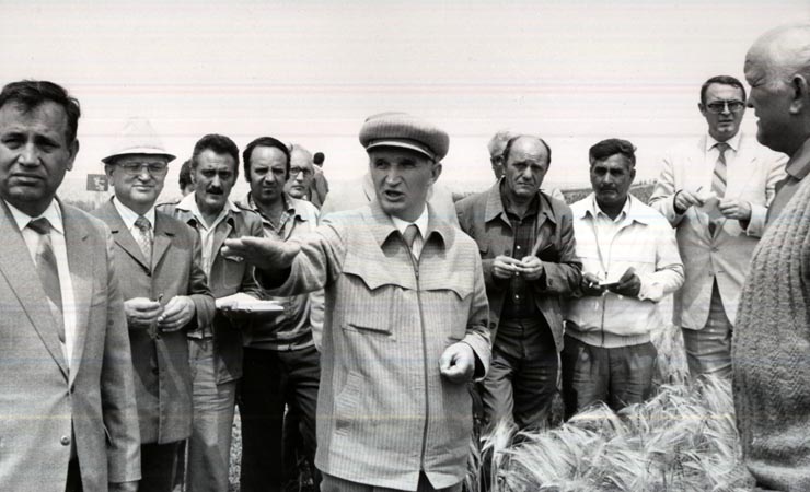 Activitati in tara 1986