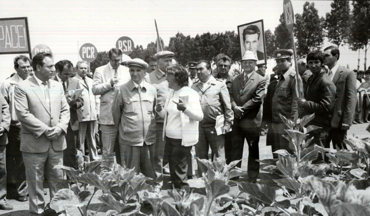 Activitati in tara 1986