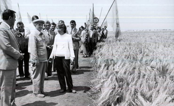 Activitati in tara 1986