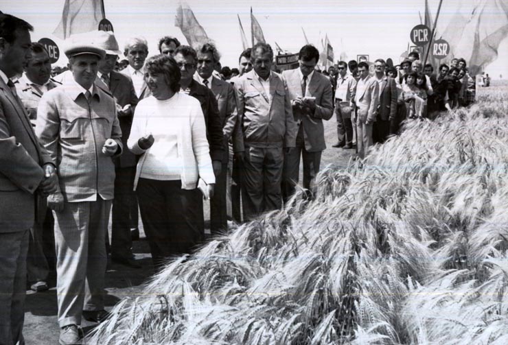 Activitati in tara 1986