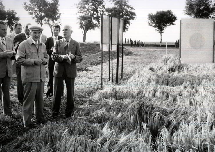 Activitati in tara 1986