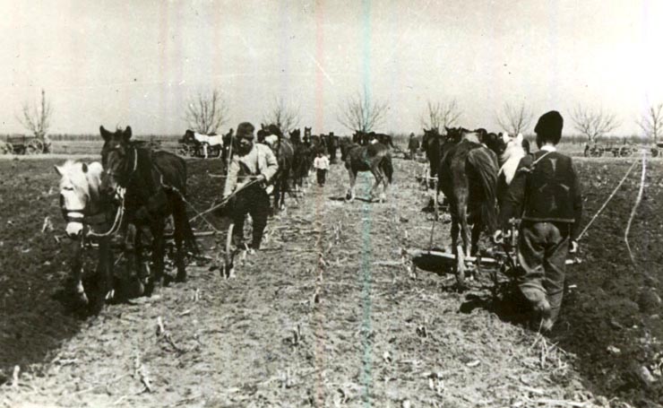 Intrarea ţăranilor cu plugurile pe pământurile moşiereşti în perioada reformei agrare din primăvara 1945, ( comuna Uzun, jud. Vlaşca)(martie 1945)