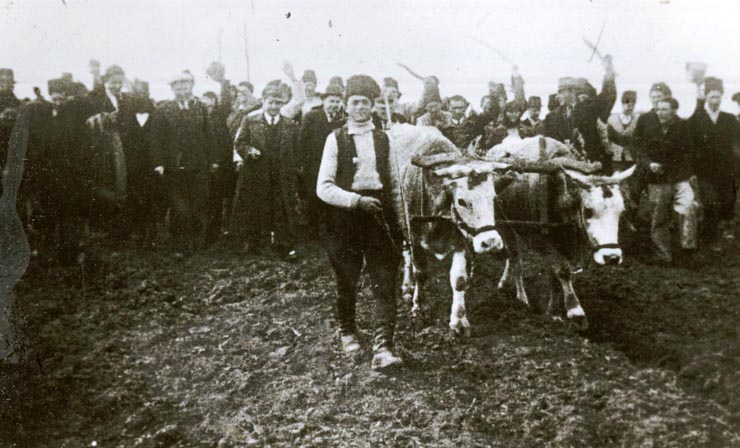 Aspect de la reforma agrară, februarie 1945.(martie 1945)