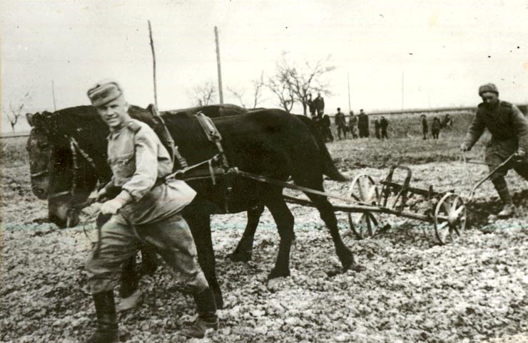 Ostaşii sovietici sprijinind ţăranii muncitori din teritoriile eliberate în primăvara anului 1945.(1945)